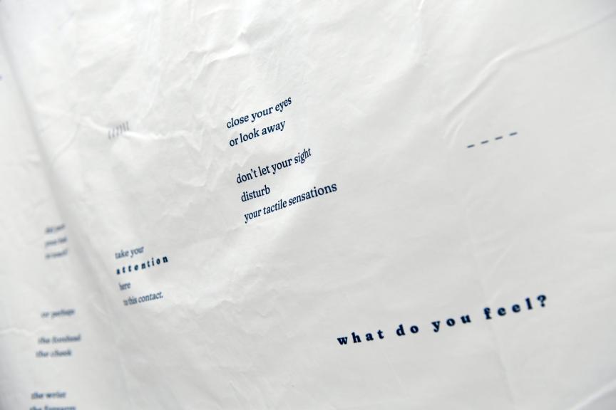 Graphisme, design numérique et animation
