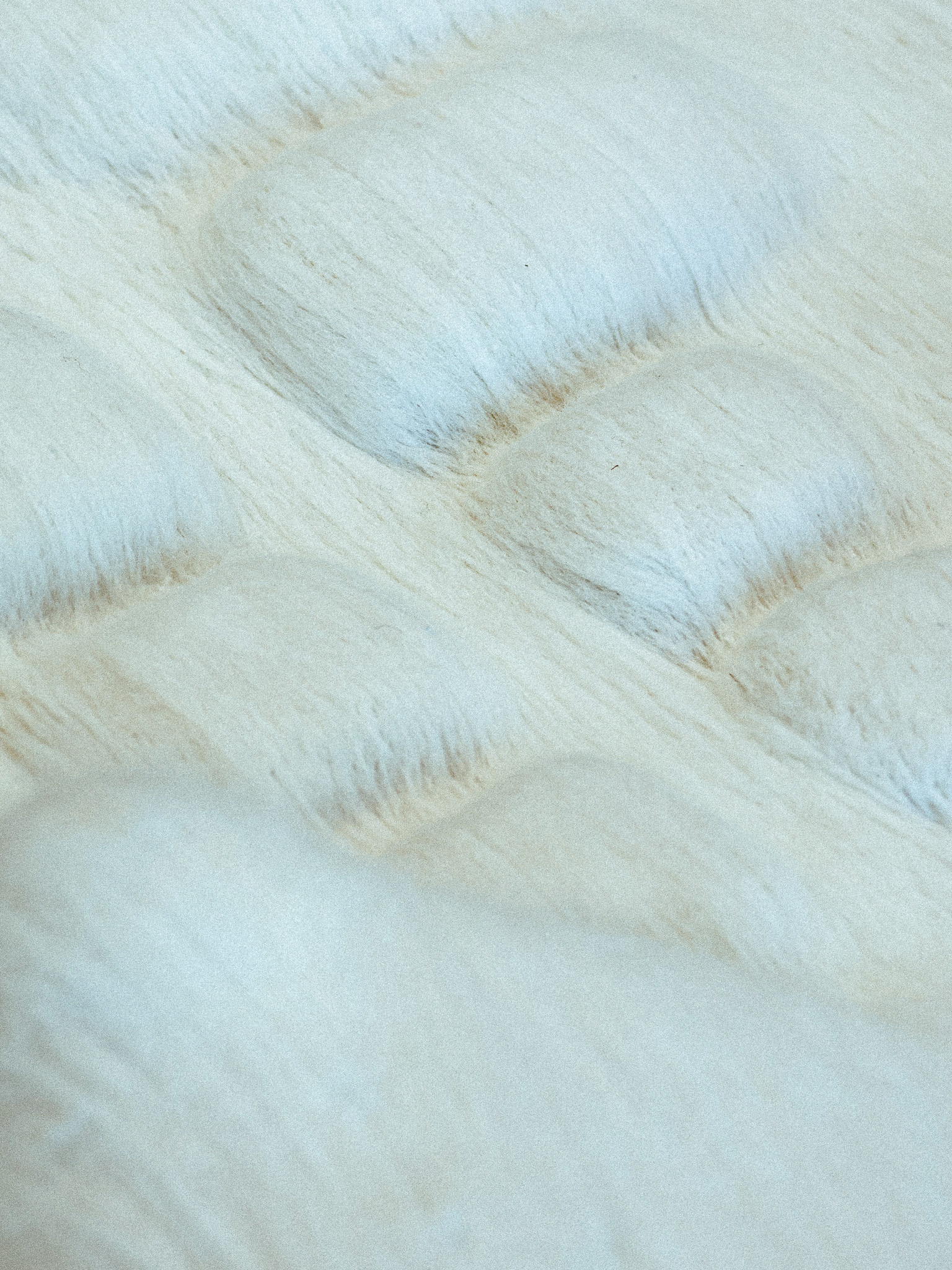 Tremplin(s) Mode et Textile