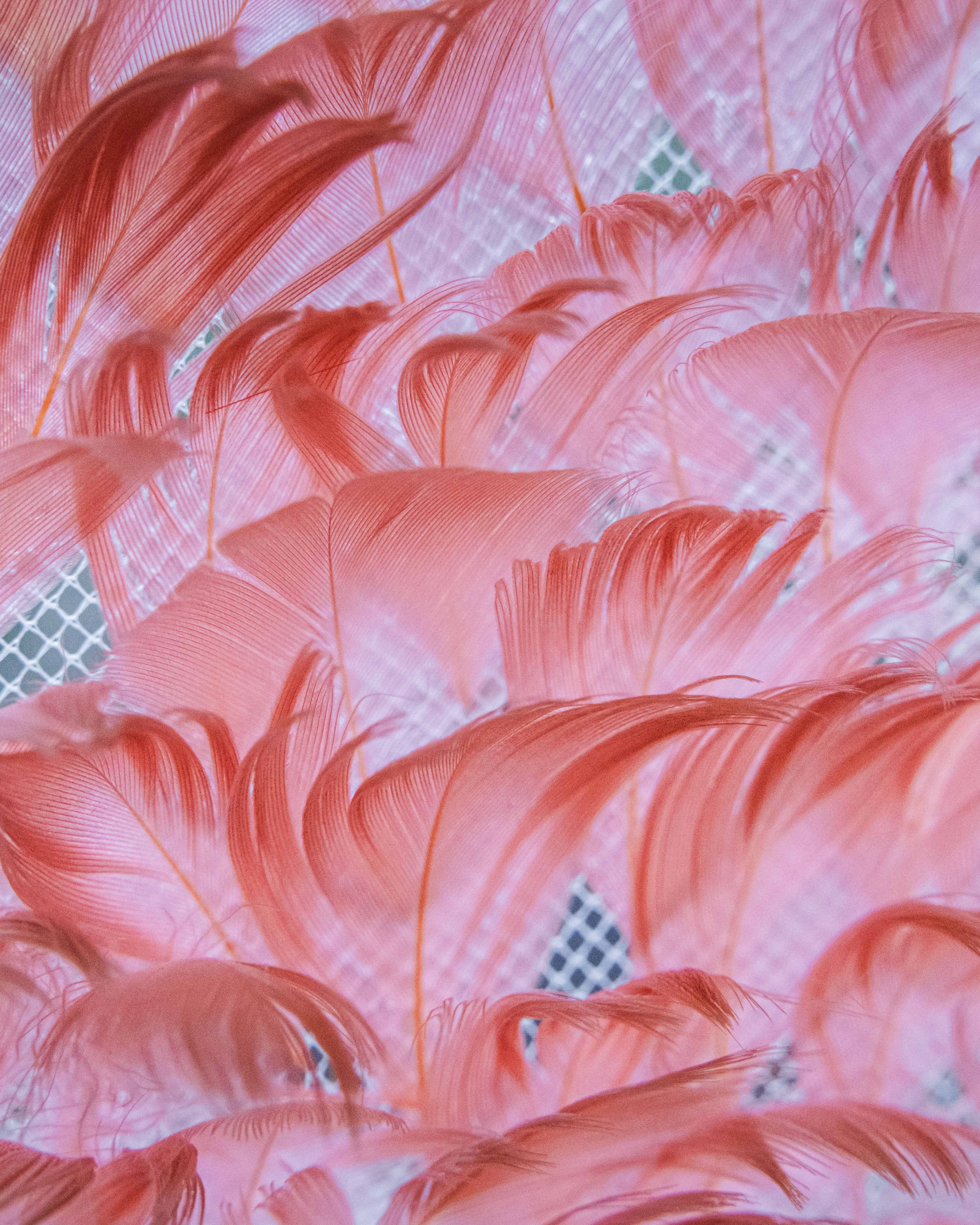 Photo : Baptiste Gault